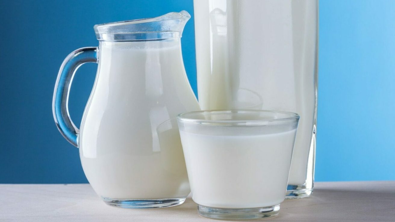 The iAGE follow-up study reports that a heated cow’s milk protein powder product is safe and well-tolerated for daily oral immunotherapy in children with cow’s milk allergy.